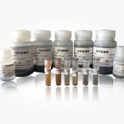 Amino Magnetic Beads