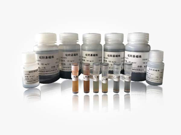 Nucleic acid extraction silicon-based magnetic beads