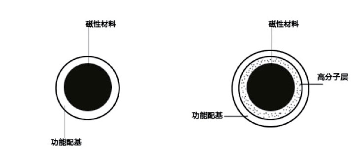 Magnetic bead extraction