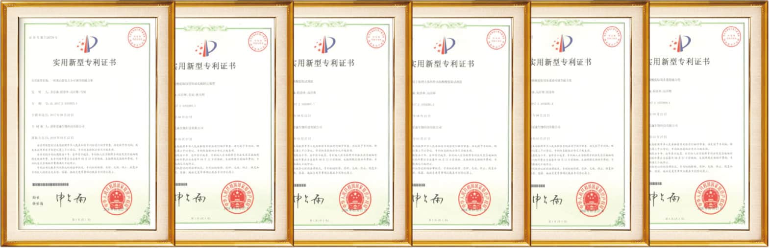 Patent Certificate
