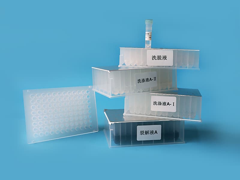 Pre-packed nucleic acid extraction kit