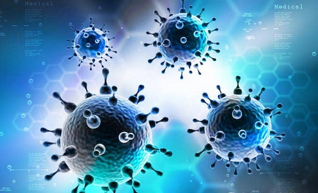 Bacterial Genomic DNA