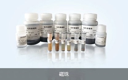 磁珠