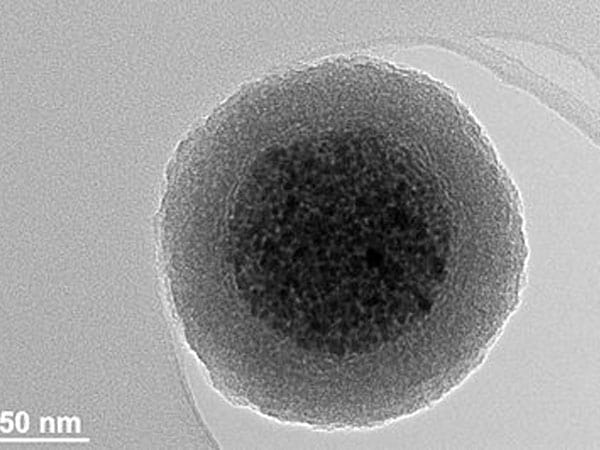 Carboxyl Magnetic Beads