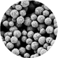 Magnetic-Beads-others
