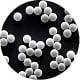 Nucleic Acid Extraction Carboxyl Magnetic Beads