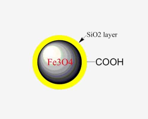 Nucleic Acid Extraction Carboxyl Magnetic Beads