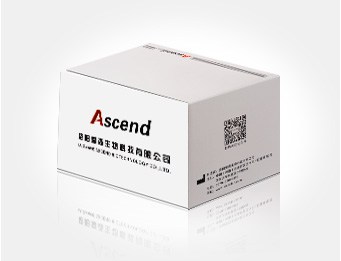 Nucleic Acid Extraction Kit