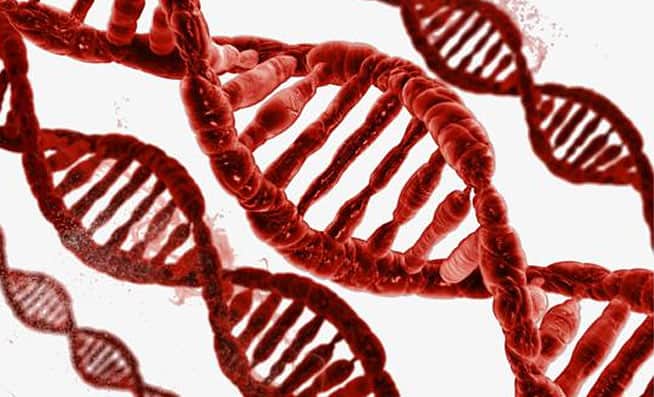 Whole Blood Genomic